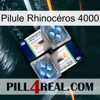 Pilule Rhinocéros 4000 viagra5